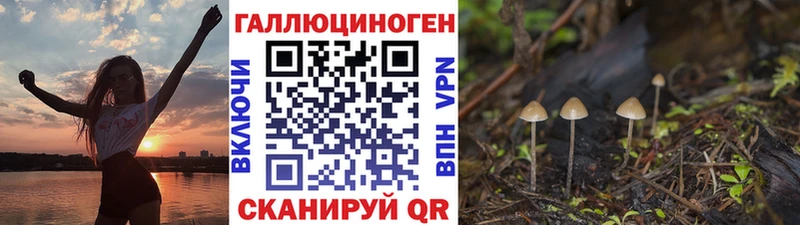 Псилоцибиновые грибы Cubensis  Белорецк 