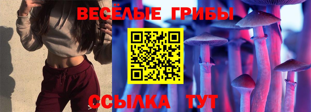 цена   Вход с VPN  Белорецк  Псилоцибиновые грибы Magic Shrooms 
