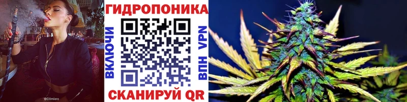 как найти наркотики  Белорецк  Бошки Шишки конопля 